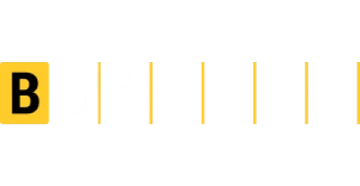 partners who work with bdgwin