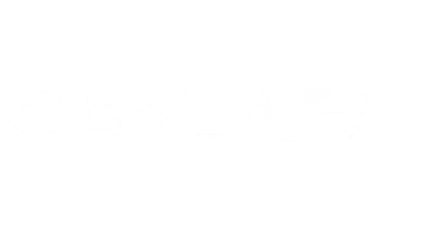 partners who work with bdgwin